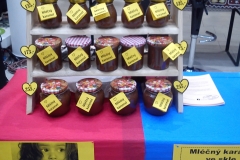 čokofest Šantovka