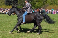 DSC_1116 – kopie